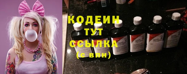 ешки Бронницы