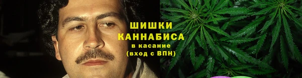 ешки Бронницы