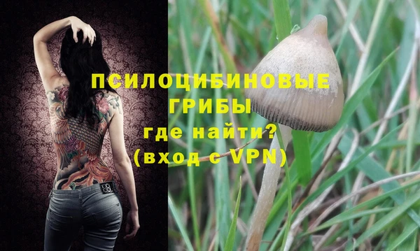 ешки Бронницы