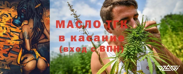 ешки Бронницы
