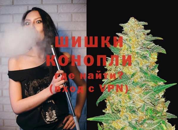 ешки Бронницы