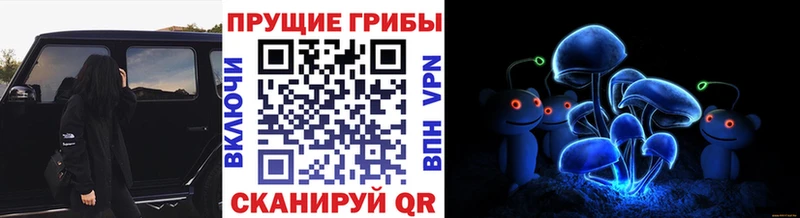 Галлюциногенные грибы Cubensis где купить блэк спрут вход Томск